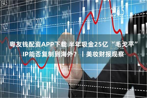 粤友钱配资APP下载 半年吸金25亿 “毛戈平”IP能否复制到海外？丨美妆财报观察